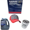 Johnson Evinrude OMC OEM Xps Gear Lube Qt, 0779480-3