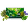 Senta Ayurvedic Brahmi Pearls 40 Capsules,Supports Memory & Concentration,Enhances Reasoning & Grasping Power,100% Ayurvedic Brahmi Capsules,with Brahmi,Madukaparni,Shankhupushpi,Tulsi in a Ghee Base