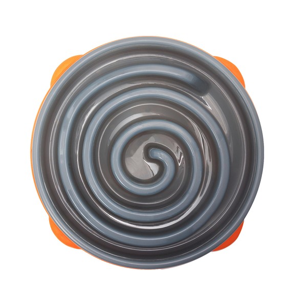Outward Hound Interactive Slow Bowl Bloat Preventing Feeder Coral Design,