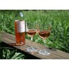 BOSO Portable Collapsible Plastic Wine Glass (BPA Free) with a