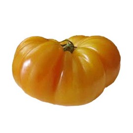 Pineapple Heirloom Tomato - 10 Seeds - Organic and Non-GMO