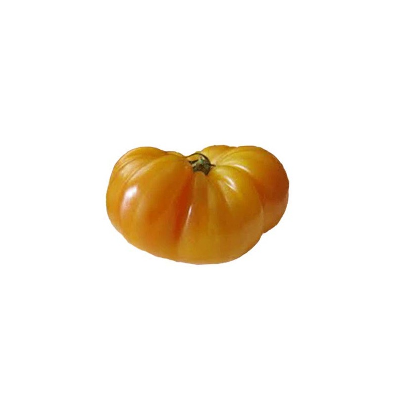 Pineapple Heirloom Tomato - 10 Seeds - Organic and Non-GMO