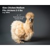 Chicken Diapers for Hens, Rooster, Bantam Chicken, Silkie Chicken, Bird,