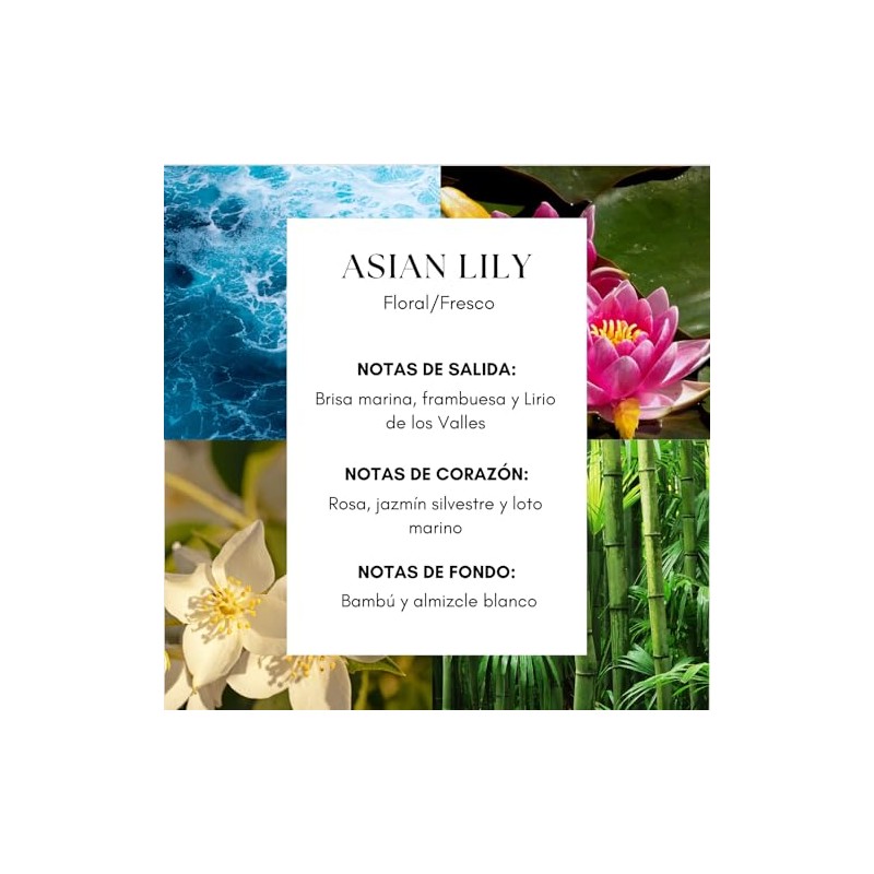 Lumara, Esencia Ambiental Aroma Hotel Wynn para Difusor Profesional, 250
