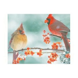 Springbok Cardinal Couple 1000 Piece Jigsaw Puzzle
