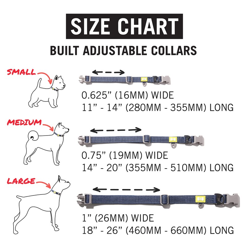 BUILT Pet Nightsafe Dog Collar