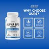 Alpha GPC Choline Brain Supplement for Acetylcholine, Supports Cognitive Health,