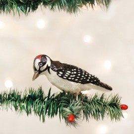 Old World Christmas Ornaments: Bird Watcher Collection Glass Blown Ornaments for Christmas Tree, Woodpecker