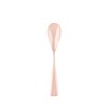 COPPER the cutlery CI-1SVma Capaza Cutlery Ice Cream Spoon, 1