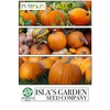 Jack Be Little Pumpkin Seeds, 10 Heirloom Seeds Per Packet,