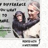What You Do Makes A Difference Jane Goodall Quote Classroom
