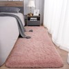 Aspire Homeware Rugs Living Room - Pink Area Rugs 60x220cm