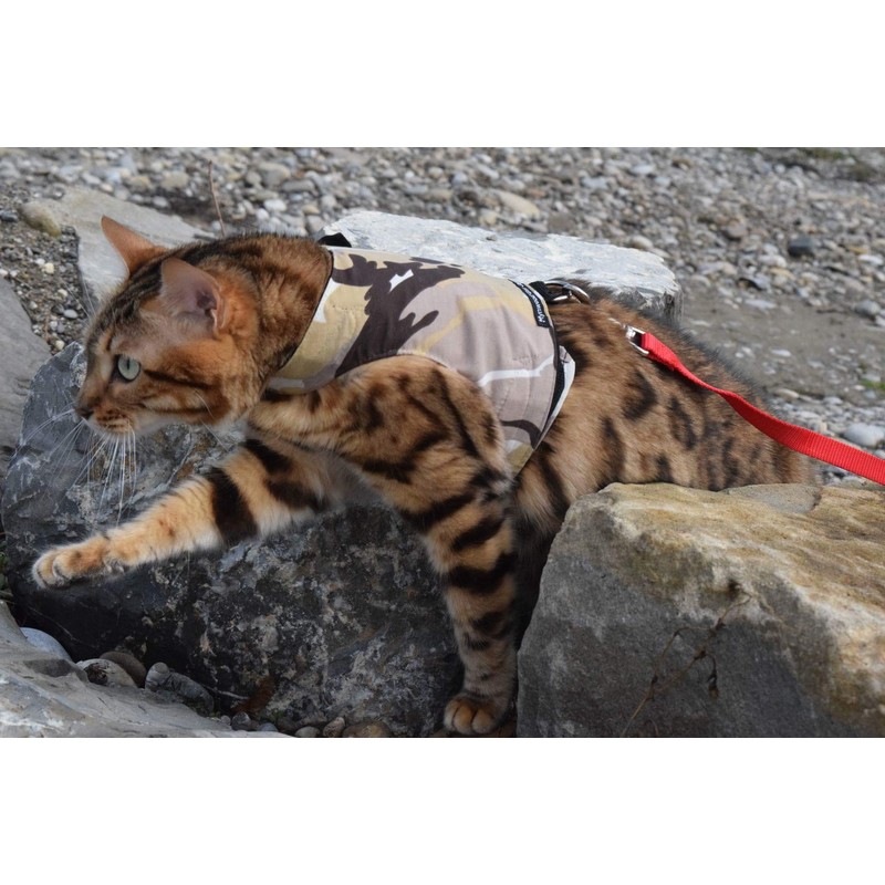 Mynwood Cat Jacket/Harness Desert Storm Combat Kitten up to 8month