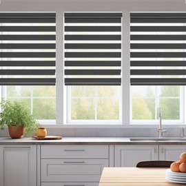 Changshade Custom Size Zebra Roller Shades, Blackout(85%) Dual Layer Roller Blinds with Thermal Insulated for Office,Living Room,Bedroom,Bathroom,Easy Installation, Black