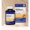 플라보노이드 20MG 로얄 프로폴리스 180캡슐 항산화영양제 폴라보노이드 프로폴리스영양제 Flavonoid 20MG