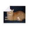 CafePress Christmas Orange Tabby Cat Throw Blanket Super Soft Fleece