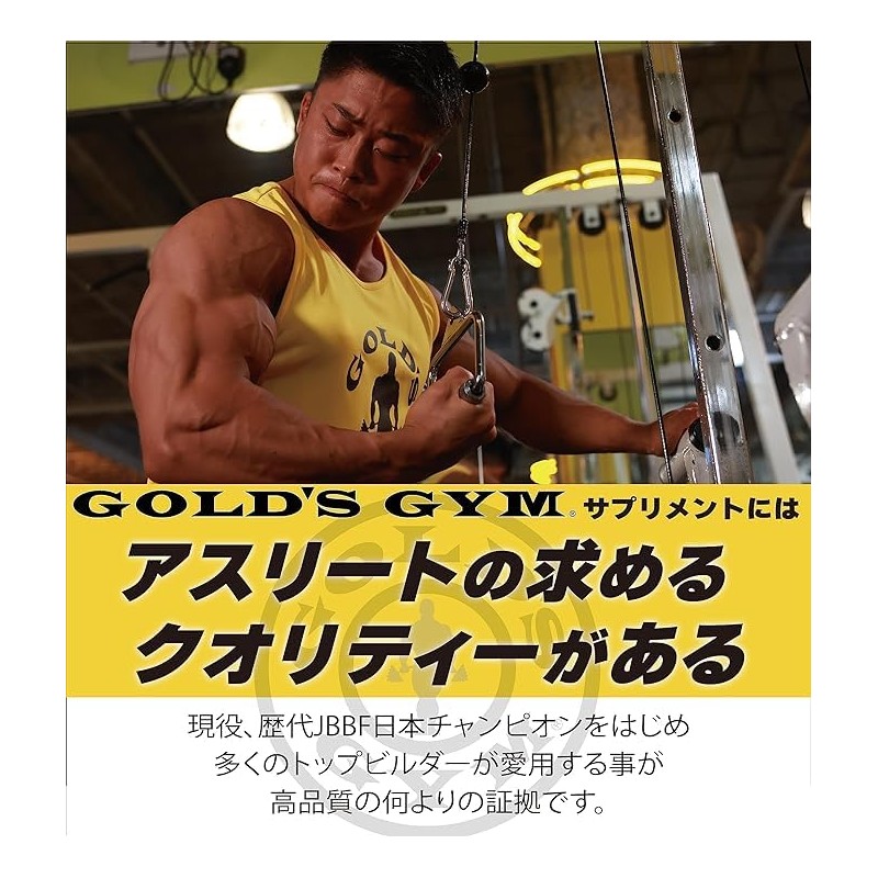 ゴールドジム（GOLD’S GYM） BCAA アルギニン パウダー (400ｇ)