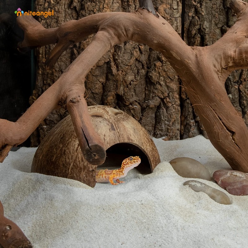 2 Pack Natural Coconut Reptile Hideouts, Lizard, Spider and Aquarium