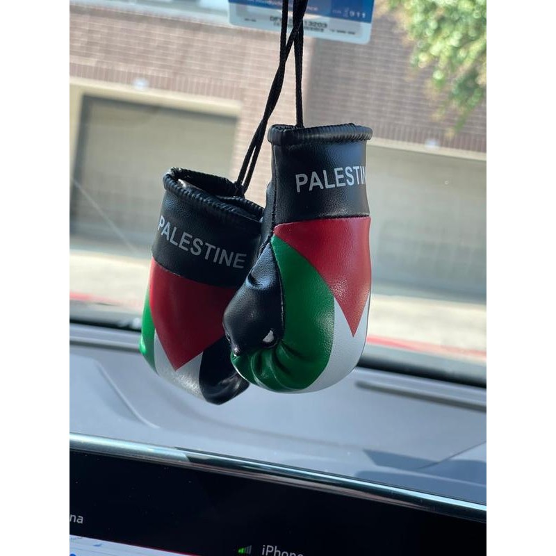 Country Flag Mini Boxing Gloves For Hanging - Country: Ireland