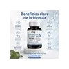 Krill Oil Con Astaxantina Apoyo Nutricional Bienestar