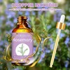 Rosemary Essential Oil, Rosemary Aroma Oil 100% Pure Natural Organic