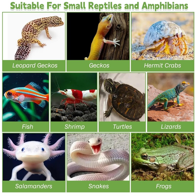 Kathson Reptile Hide Resin Turtles Dock for Aquarium Turtle Basking