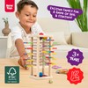 Nene Toys Ballfall Montessori Toy from 3 Years - Educational
