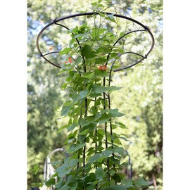 Achla Designs PYL-09 Mushroom, 72-in Garden Pylon Trellis Climbing Plants Support, Wrought Iron, H, Roman Bronze