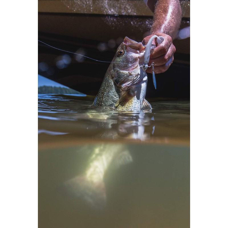 PowerBait Power Swimmer Rainbow Shad 3.8in | 10cm