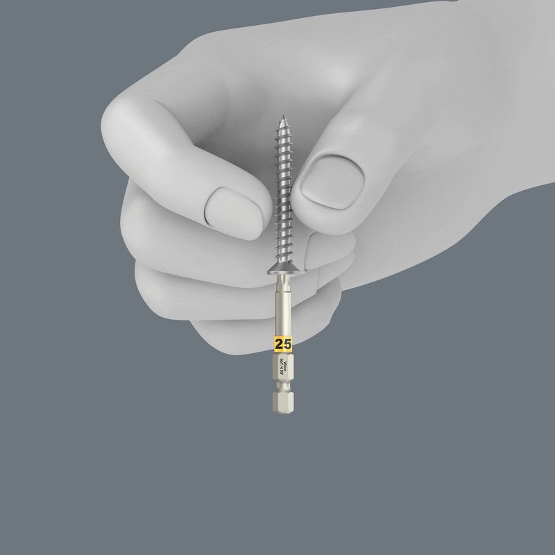 WERA ヴェラ トルクス内ネジ用 ドライバービット 差込6.35mm 刃先サイズTX25 全長50mm 060509