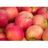 100 Pcs Apple Seeds for Planting, Heirloom, Non GMO