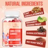 Cholesterol Supplement with Plant Sterols & Stanols, Guggul, Bergamot Orange