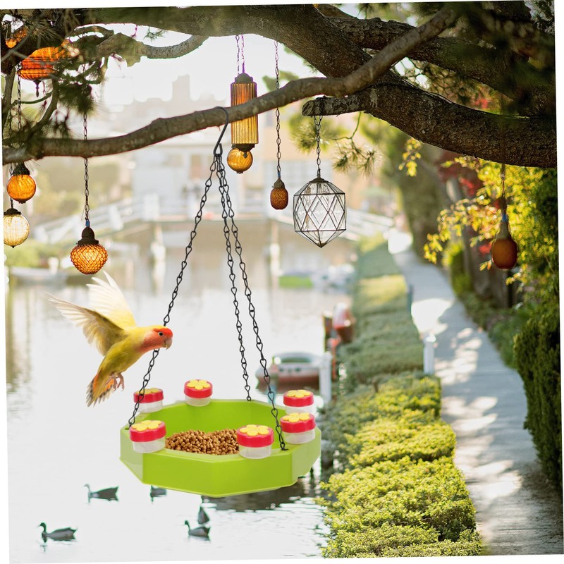 Kisangel Elegant Design 1 Set Hanging Bird Feeder Tray Hummingbird