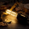 Dimmable T10 LED Bulbs Warm White 2700K LED Tubular Edison