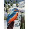 Derwentwater Designs Long Stitch Kingfisher