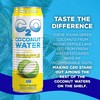 C2O - Coconut Water with Pineapple (12 Pack) - Made