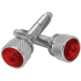 GG Grand General 67145 Chrome Screw w/Red Crystal for Kenworth Button Head Dash