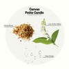 Apotheke Luxury Scented Candles for Home, Canvas - Petite Aromatherapy
