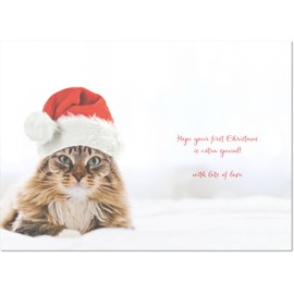 doodlecards Grandsons 1st First Christmas Card Cat with Santa Hat Medium Size Christmas Card for Grandsons 1st with Plain Envelope