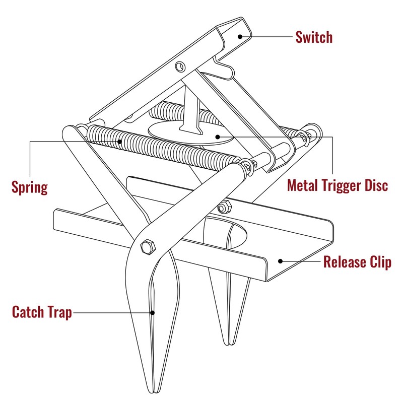AMVOG Upgrade Mole Scissor Traps, EasySet Mole Traps That Kill,