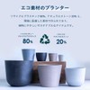 AND PLANTS Pot Cover, No. 3, For Stylish Interior with