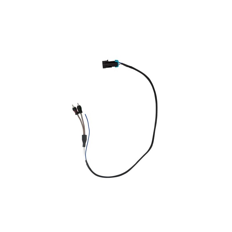 RZR Pro Series Add a Subwoofer for Ride Command RCA