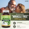 Herba Herba Organic Moringa Capsules - 1000mg Per Day |