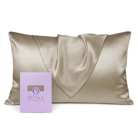 Olesilk 100% Silk Pillow Case / Pillow Cover, Gentle on Hair and Skin, with Concealed Zip, 19 Momme, 1 Item