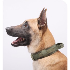 Qxsnuvvlg Heavy Duty Dog Collar，Tactical Dog Collar with Handle Duty Metal Buckle，for Medium and Large Dogs (Army Green, M)