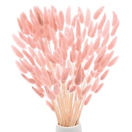 M METERXITY 120-Pack Bunny Tails Grass 17 Inch Fluffy Rabbit Tail Grass Dried Flowers Branches Vase Filler Dried Grass Decor for Home/Wedding/Vase/Office/Party [Light Pink]