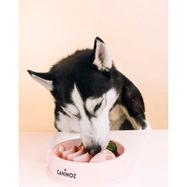 CANINOZ Pack of 4 Feeder Dog Anti-Voracity Slow Toys for Dogs Interactive Toy Dog Bowl Original Gift for Men Women Feeders Cats Accessories Dogs Pets (Pack 2)