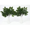 Moa Feteli Sacred Treasure, Earthenware, Sakakitate, Set of 2