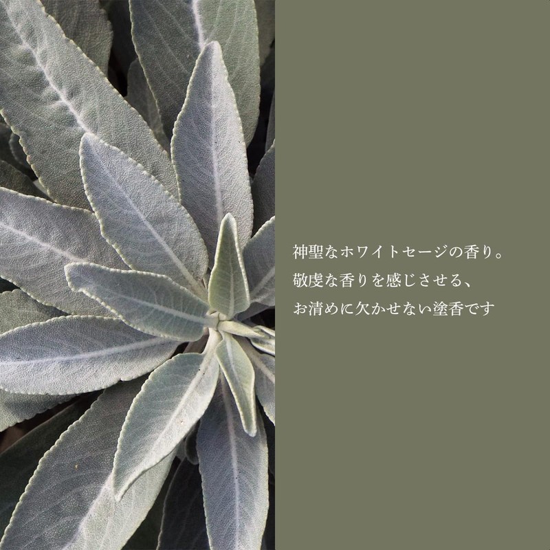 Japanese Specialty White Sage Incense Paint Incense 0.2 oz (5