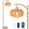 Duoled Glass Floor Lamp for Living Room with Amber Glass